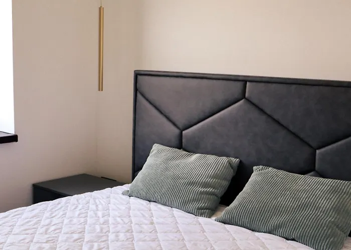 Alinar Oasis Budget *